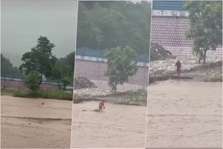 Bean River in Rishikesh