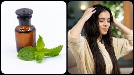 Benefits of Peppermint Oil