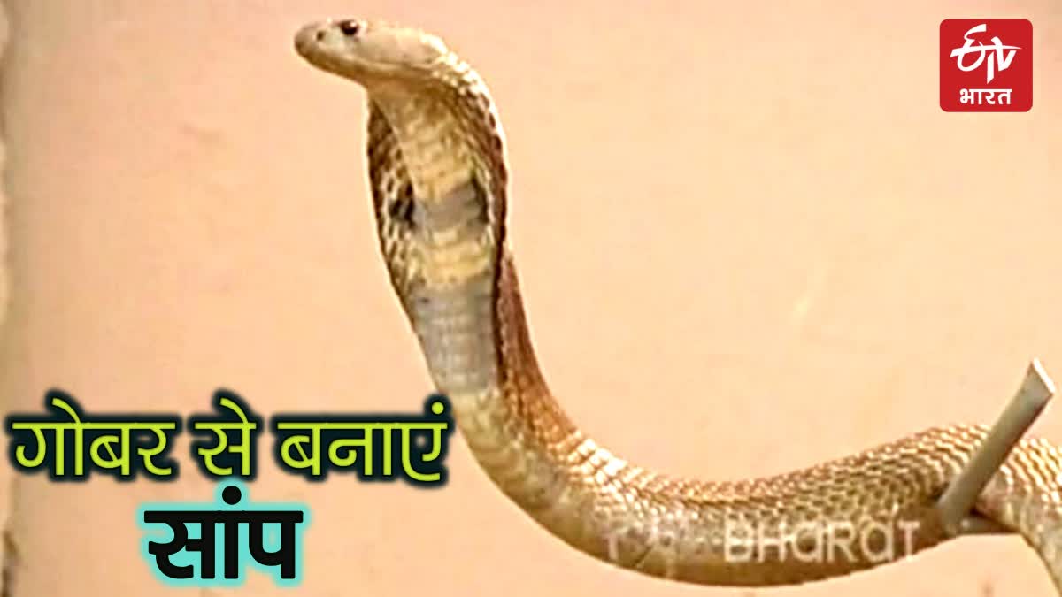 COW DUNG SNAKE WORSHIP ON NAGA PANCHAMI AT HOUSE ENTRANCE WALL