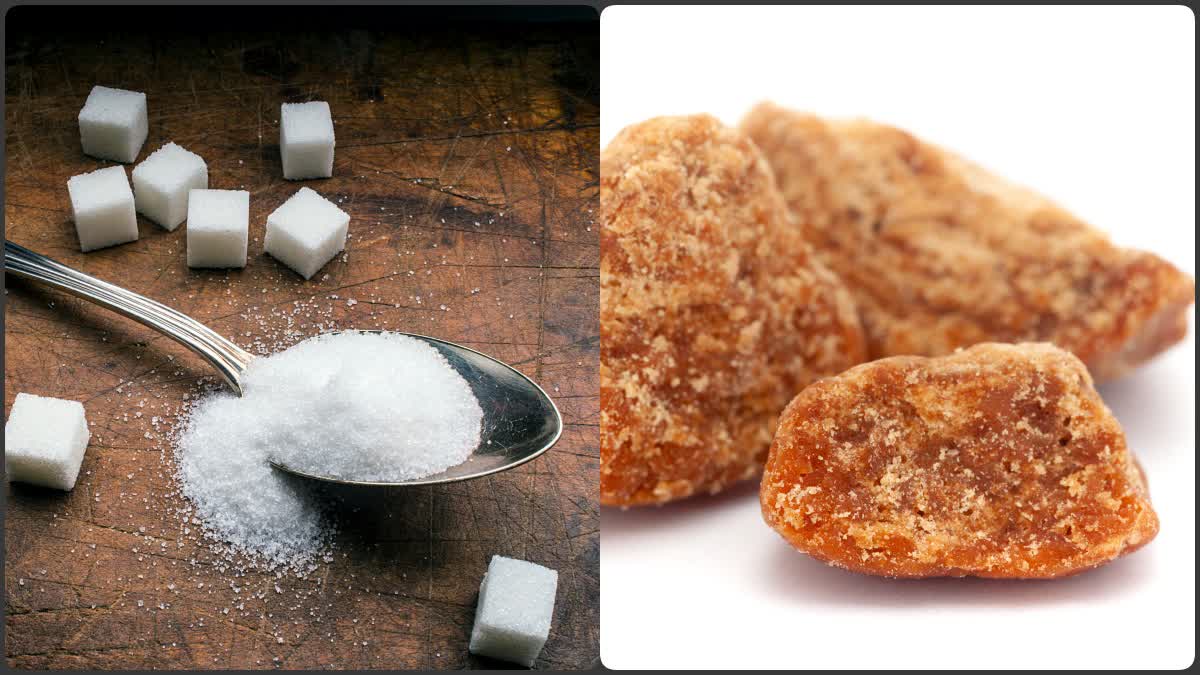 Sugar VS Jaggery