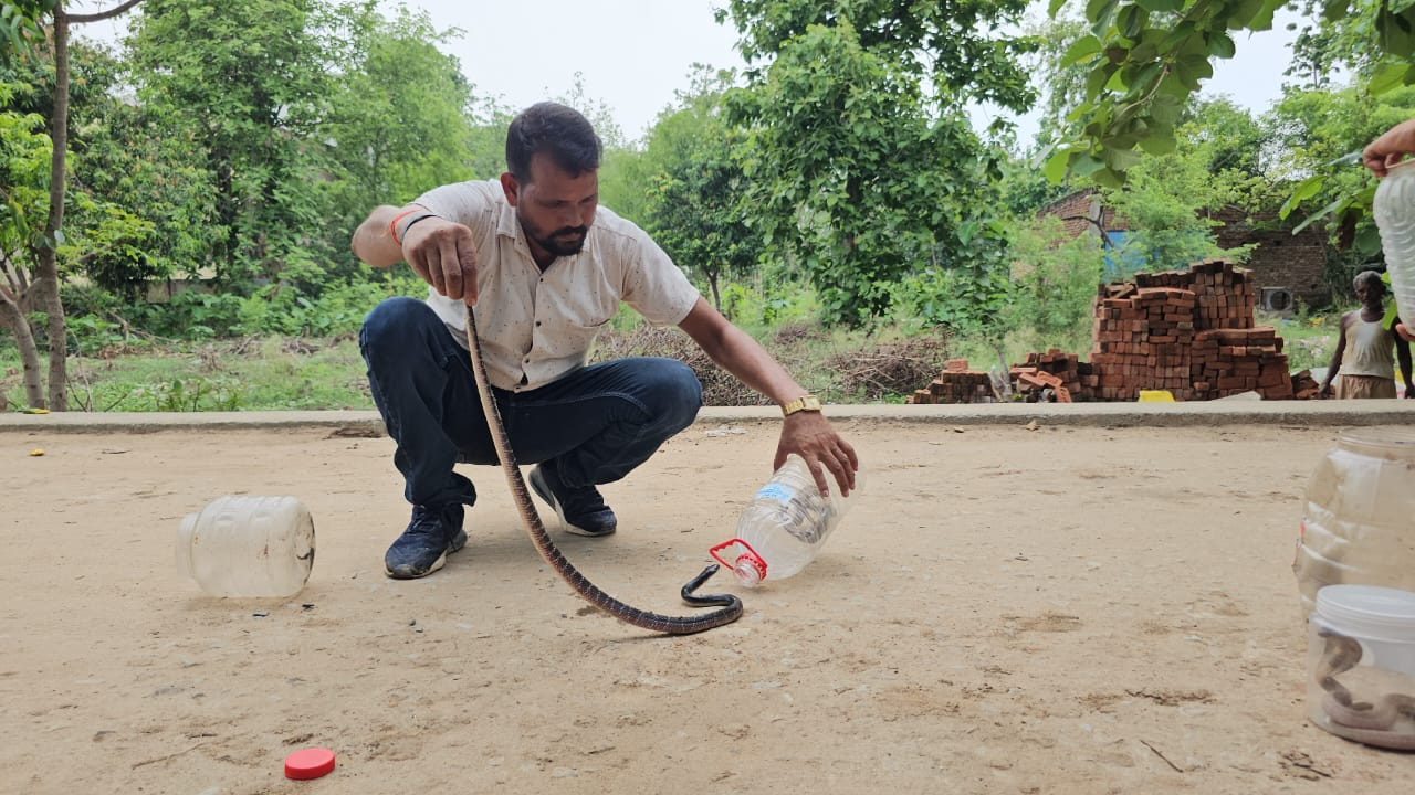 सांप को रेस्क्यू करते अमरनाथ.