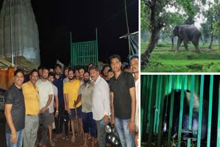 elephant bear Fear in Mahasamund