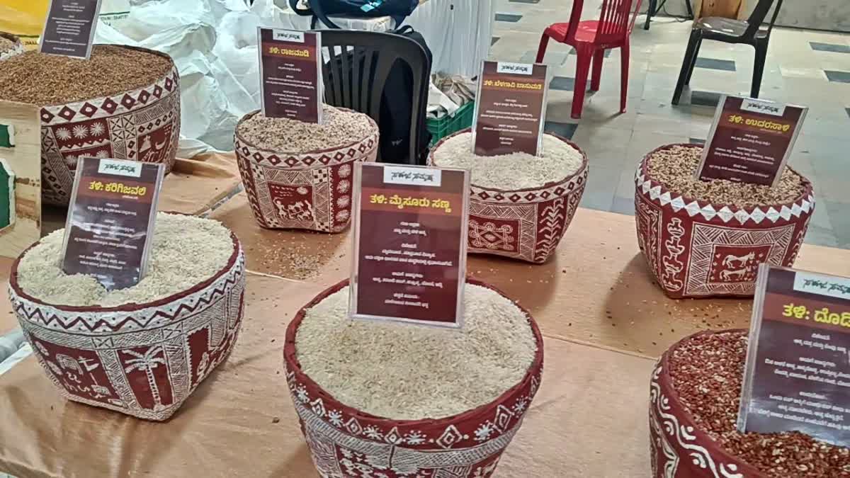 ಮೈಸೂರು: ದೇಸಿ ಅಕ್ಕಿಮೇಳದಲ್ಲಿ ಹೆಸರೇ ಕೇಳಿರದ ತಳಿಗಳು; ಅಚ್ಚರಿಪಟ್ಟು ಖರೀದಿಗೆ ...