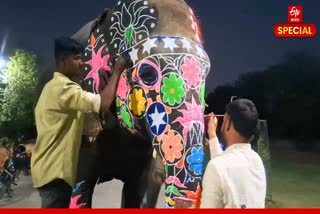 हाथी गांव में हाथियों का फैशन शो