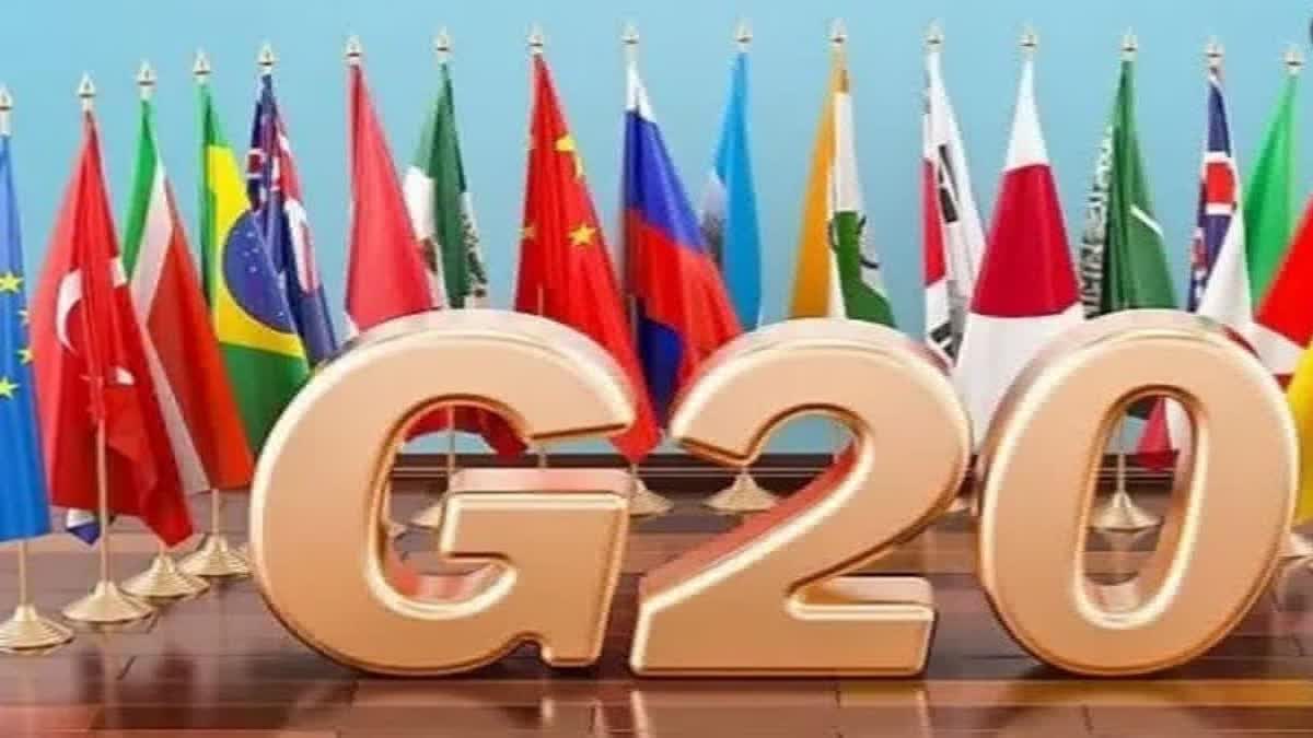 G20