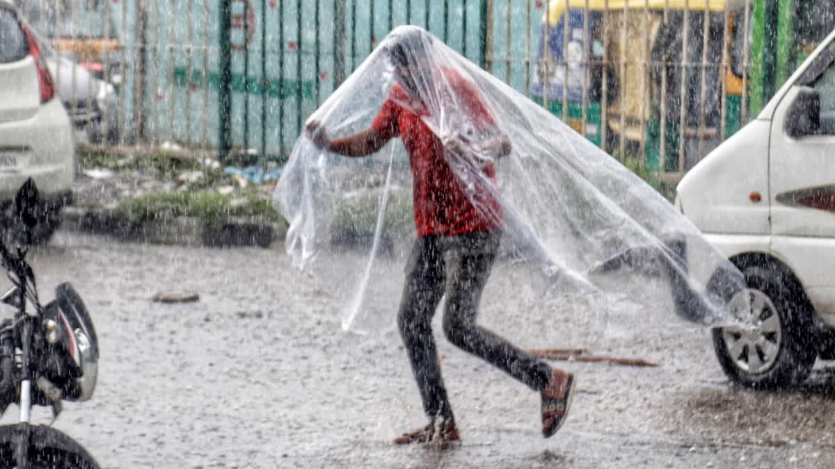 Kerala Weather Update  Rain alert kerala  Rain alert  Kerala Weather  weather updates kerala  സംസ്ഥാനത്ത് മഴ തുടരും  മഴ  മഴ മുന്നറിയിപ്പ്  യെല്ലോ അലർട്ട്  യെല്ലോ അലർട്ട് കേരളം  യെല്ലോ അലർട്ട് ജില്ലകൾ  Yellow alert districts  Yellow alert  കാലാവസ്ഥ നിരീക്ഷണ കേന്ദ്രം മഴ മുന്നറിയിപ്പ്  കാലാവസ്ഥ നിരീക്ഷണ കേന്ദ്രം  കാലാവസ്ഥ വകുപ്പ്  യെല്ലോ അലർട്ട് ജില്ലകൾ