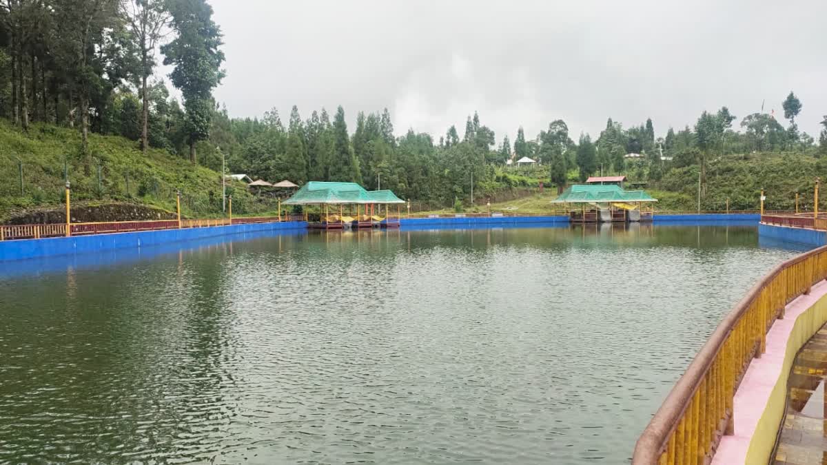 Travel During Durga Puja