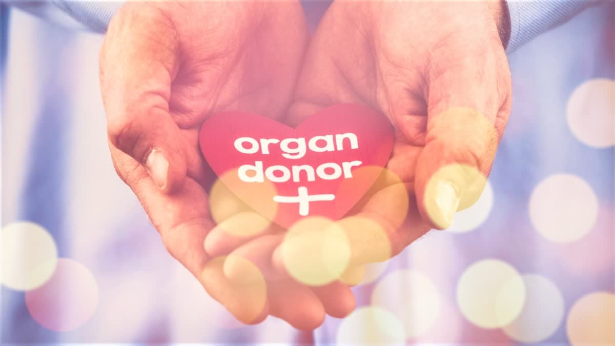 Organ Donation : વડોદરા એસએસજી હોસ્પિટલમાં બ્રેઈનડેડ યુવકનું અંગદાન,પ્રથમવાર હાર્ટ સહિત 6 અંગોનું દાન મળ્યું