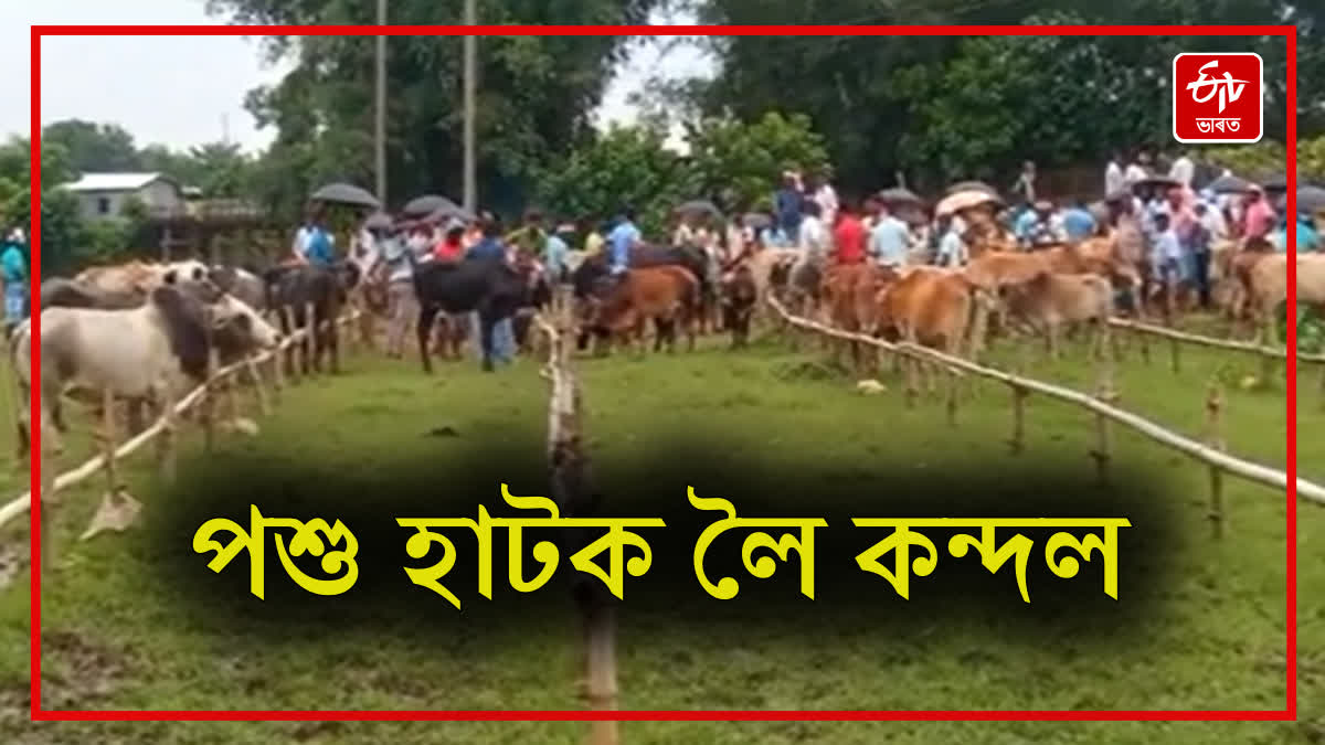 Two sides clash over cattle market in Goalpara