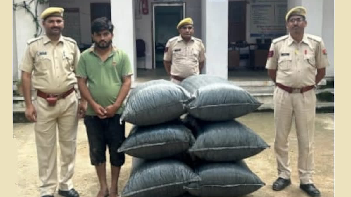 Doda sawdust worth Rs 4 lakh seized in Chittorgarh