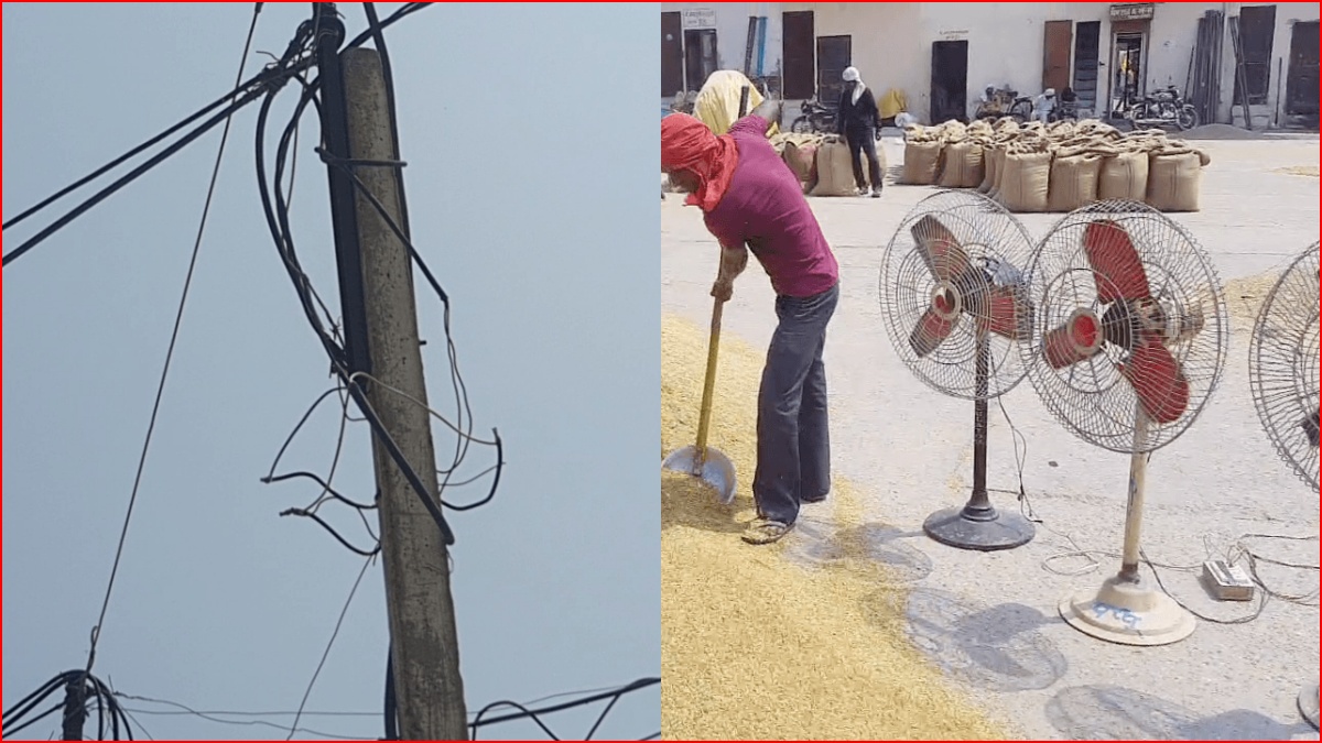 Electricity theft in Kaithal grain market