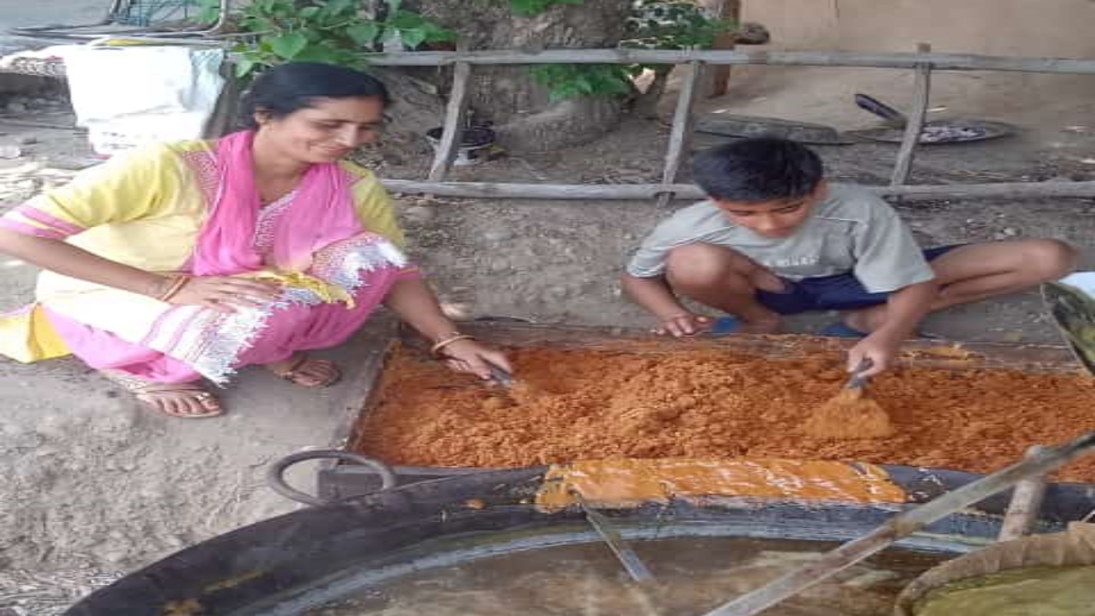 modern Sugarcane farming in Hamirpur