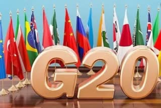 G20