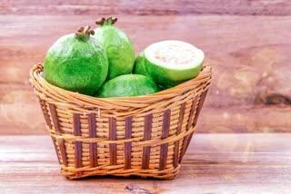 Etv BharatHealth Benefits of Guava