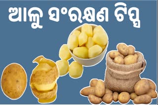 tips to avoid potato spoilage