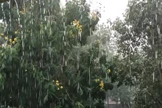 Banaskantha Monsoon 2023