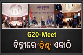 G20 Summit: ଦିଲ୍ଲୀରେ ଏକାଠି ହୋଇଛି ପୁରା ବିଶ୍ବ, ଦେଖନ୍ତୁ ଭାରତ ମଣ୍ଡପମରୁ ଦୃଶ୍ୟ