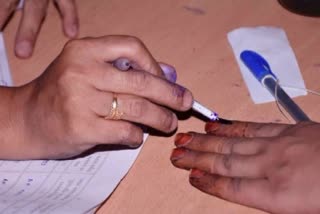 Maldives presidential election conducted in Kerala, India's only polling booth