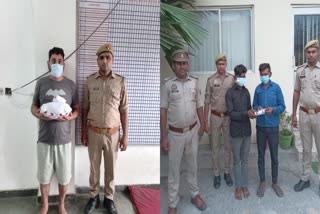 Police arrested two thieves and ganja smuggler
