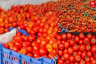 Tomato prices at peak Farmers have lost due to the sudden collapse