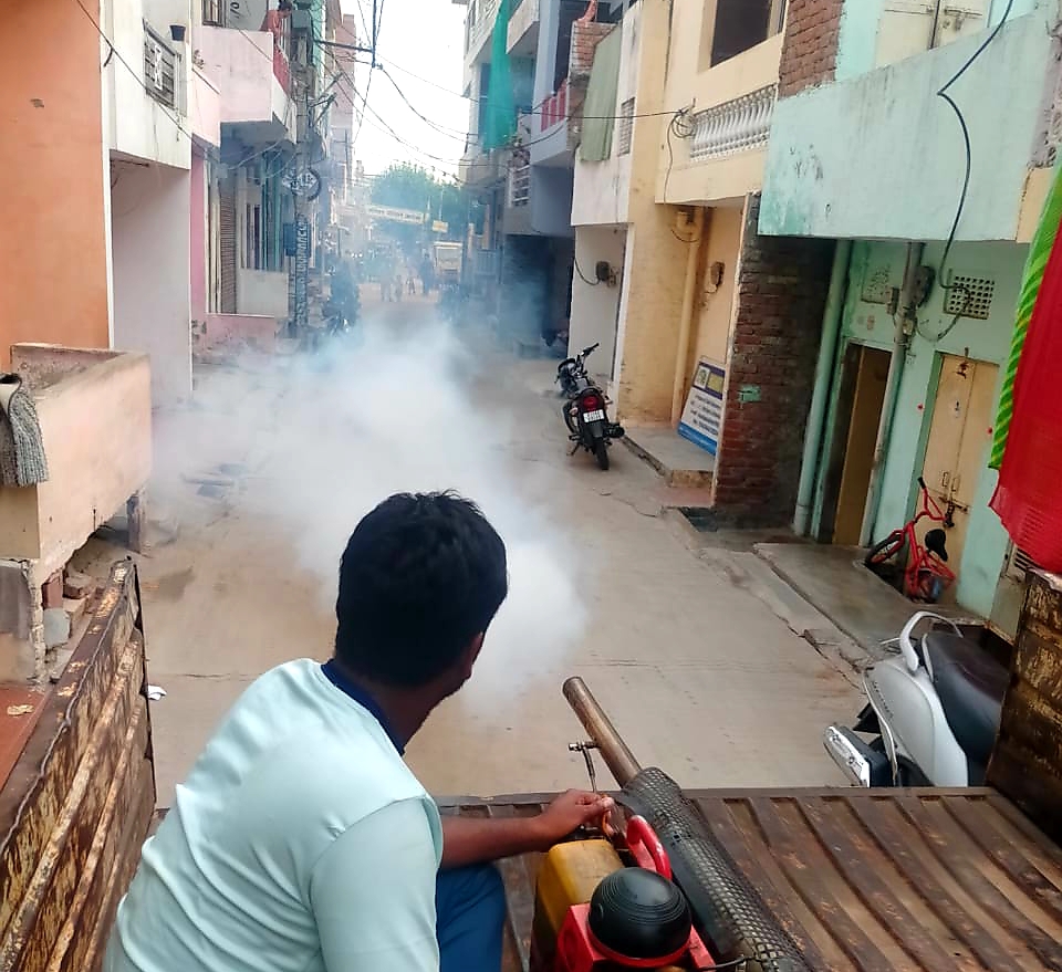 Dengue Cases in Rajasthan