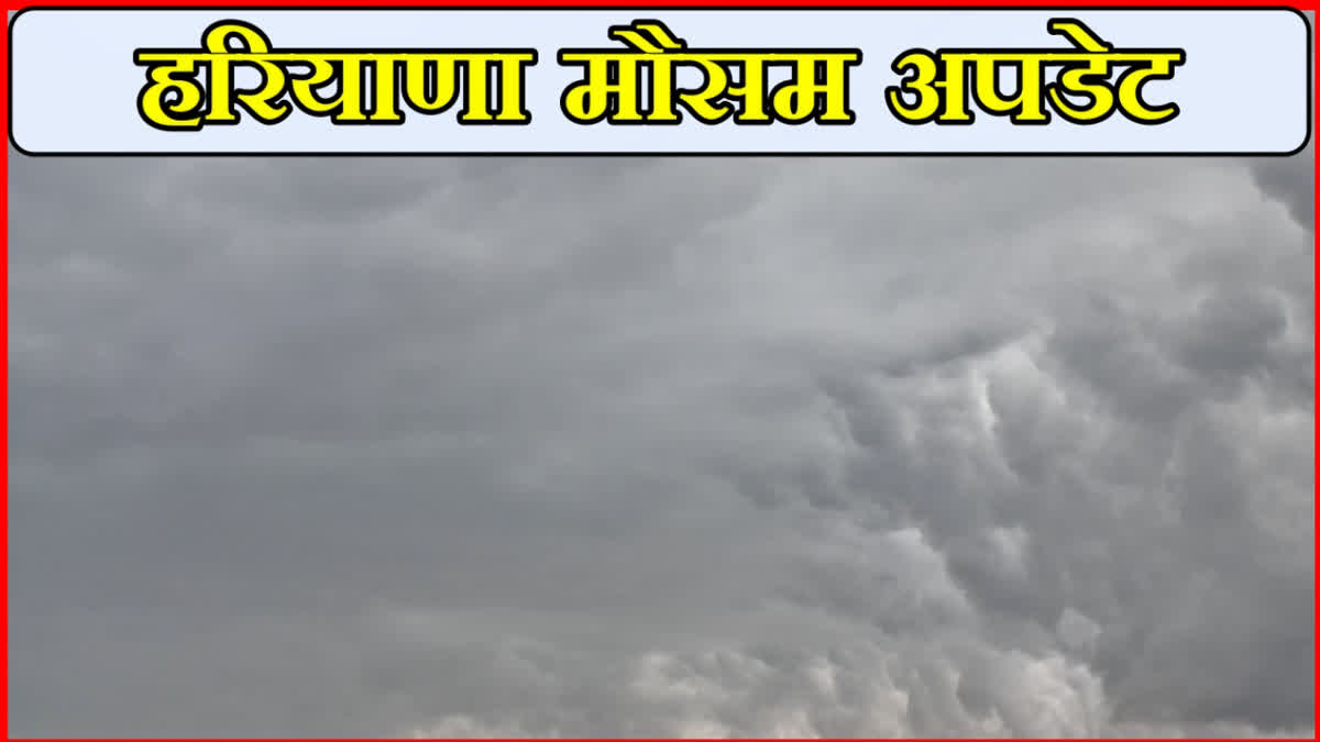 haryana weather update