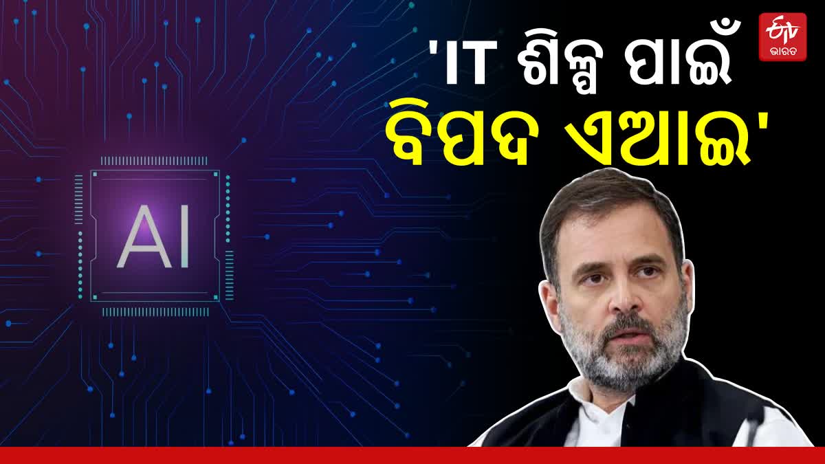 Rahul Gandhi shares views on AI