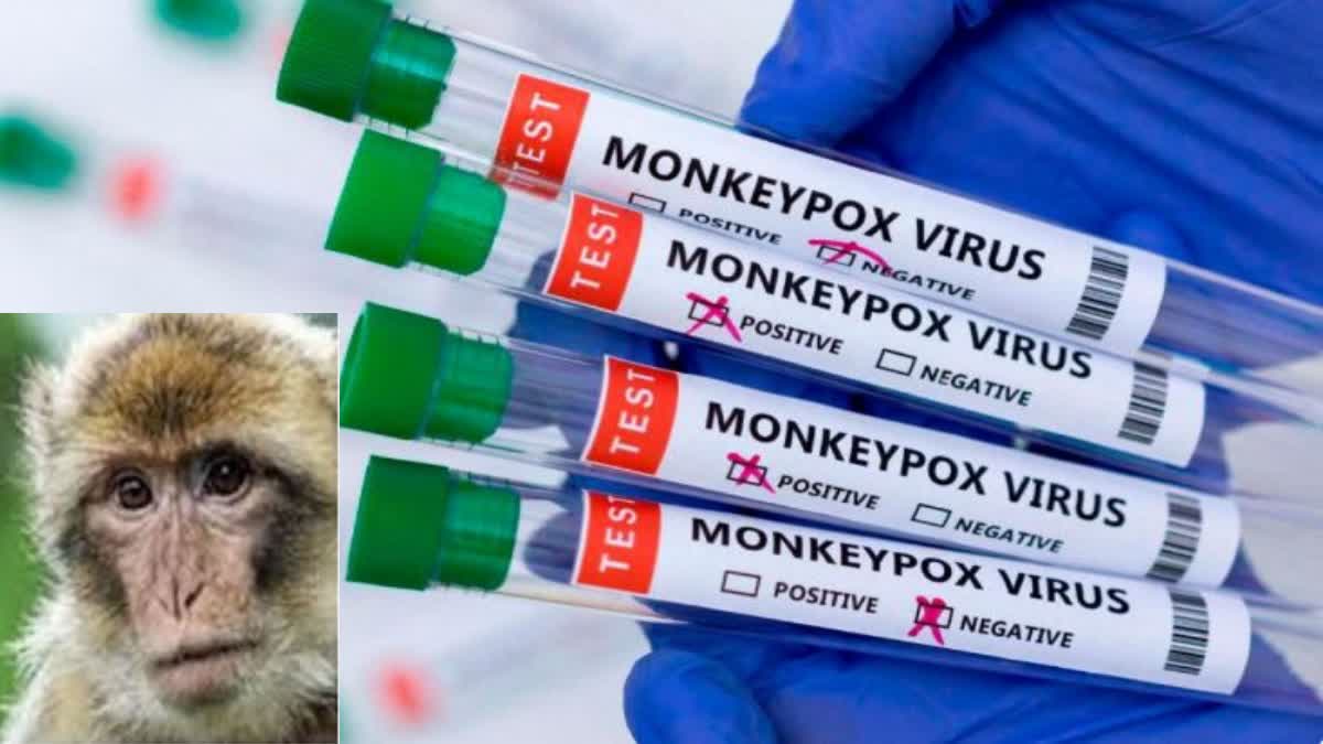 What is the connection of monkeys with monkeypox