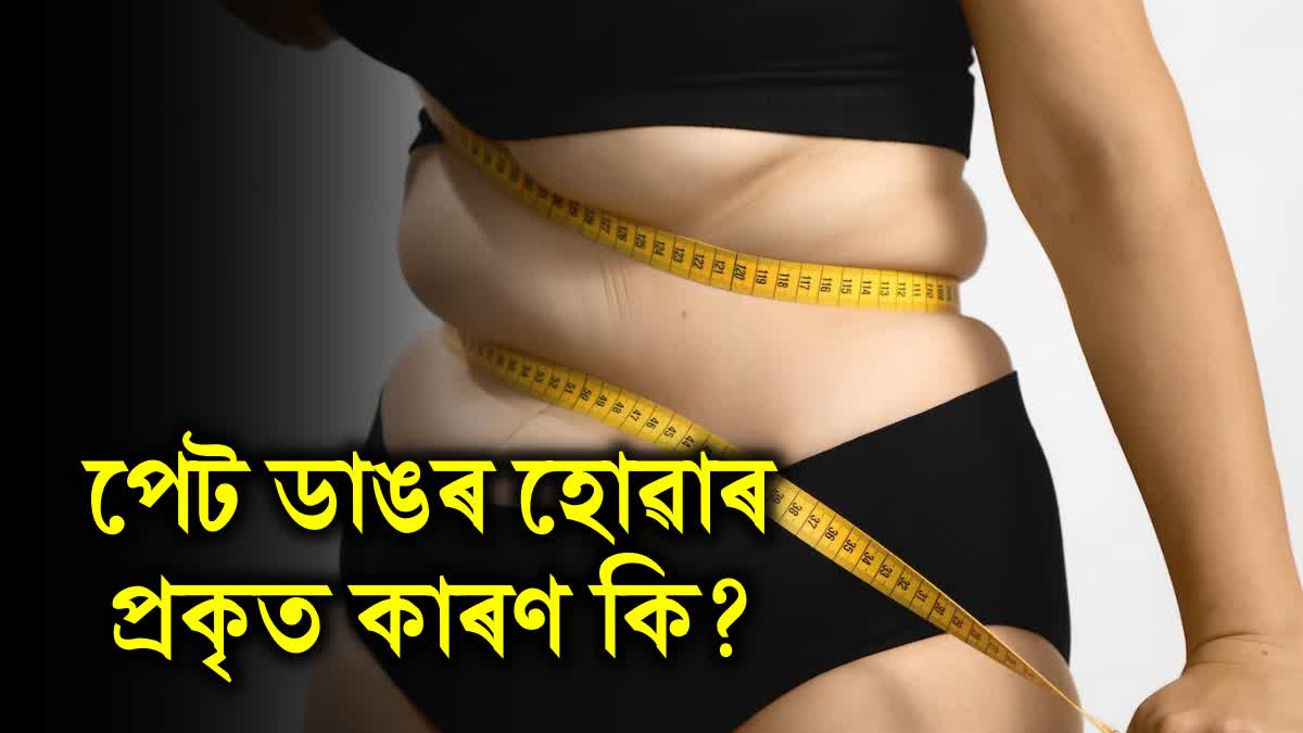 what is the difference between obesity and bloating