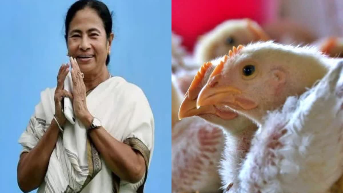 BIRD FLU WEST BENGAL BODER CLOSING  CM ORDERS CLOSURE OF WB BORDER  മമത ബാനർജി  പക്ഷി പനി