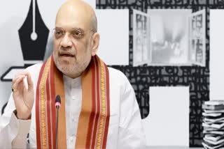 Amit Shah On Mother Tongue