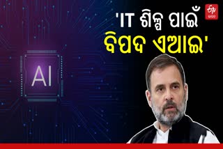 Rahul Gandhi shares views on AI