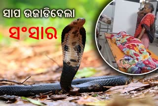 ନୂଆଁଖାଇରେ ଉଜୁଡି ଗଲା ସଂସାର: ନୂଆଁଖାଇରେ ଉଜୁଡି ଗଲା ସଂସାର: ସର୍ପାଘାତରେ 3 ଭଉଣୀ ମୃତ, ମୃତ୍ୟୁ ସହ ସଂଗ୍ରାମ କରୁଛନ୍ତି ବାପାସର୍ପାଘାତରେ 3 ଭଉଣୀ ମୃତ, ମୃତ୍ୟୁ ସହ ସଂଗ୍ରାମ କରୁଛନ୍ତି ବାପା