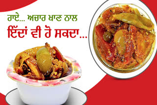 Pickles or Achar Effects