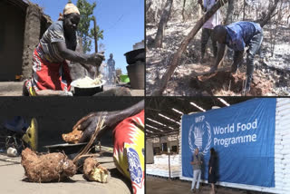 'We Are Starving': Malawi Villagers Cook Toxic Yams to Survive Drought