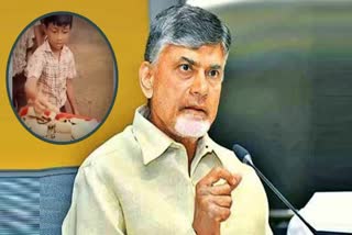 AP CM Chandrababu Naidu On Students