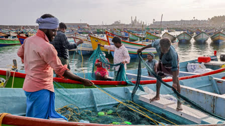 Tamil Nadu CM MK Stalin has asked EAM S Jaishankar to take immediate diplomatic action following the arrest of 14 Indian fishermen by the Sri Lankan Navy. Stalin highlighted the rising incidents of Indian Fishermen being apprehended, with 350 fishermen and 49 boats seized this year alone.