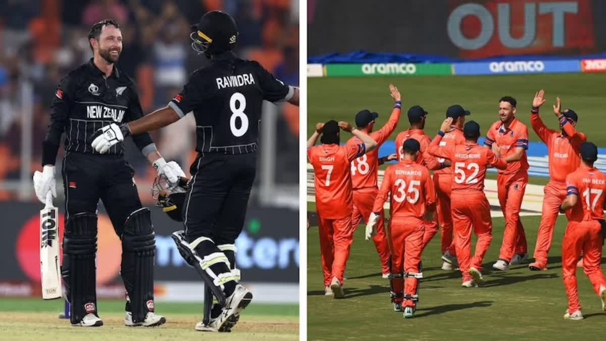 world-cup-cricket-netherlands-vs-new-zealand