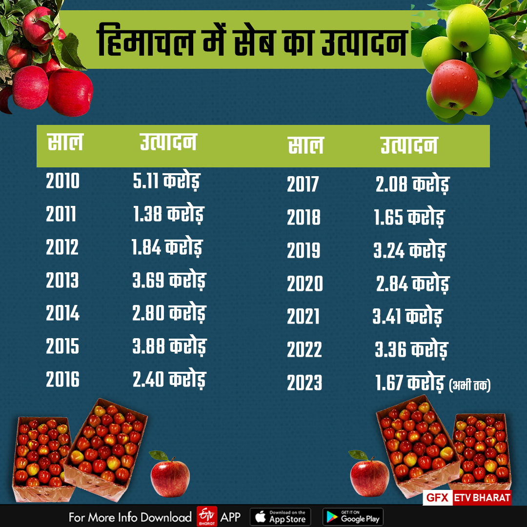 Apple production reduced in Himachal