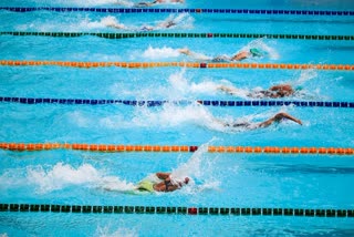 Swimming stock pic