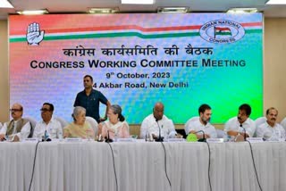 Congress Working Committee