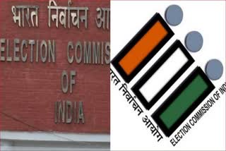 election commission official 12 cards