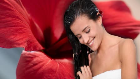 Hibiscus Flower for Hair Care News