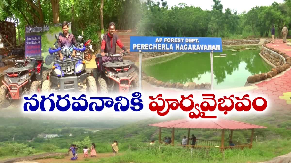 huge_visitors_to_nagaravanam_park_guntur_perecherla