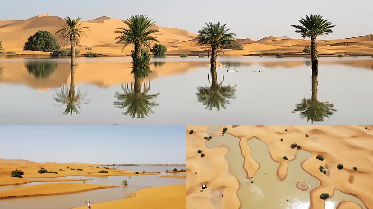 Floods In Sahara Desert