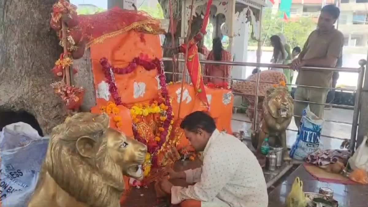 VIDISHA MAA BIJASAN MANDIR BUILT