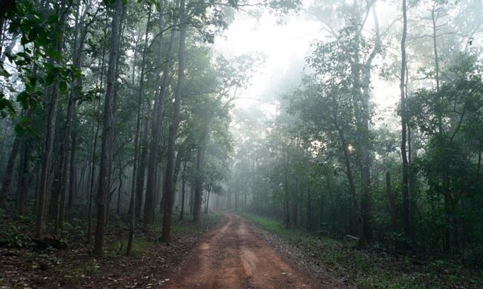 ପ୍ରକୃତିପ୍ରେମୀଙ୍କ ଭୂସ୍ବର୍ଗ ଶିମିଳିପାଳ