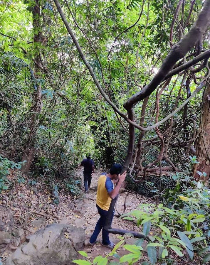 VAYALADA VIEW POINT  TOURIST SPOT IN VAYALADA  VAYALADA KOZHIKODE  കോഴിക്കോട് വയലട