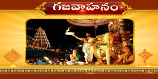 Srivari Gaja Vahana Seva Live