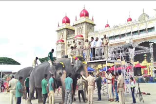 Jumboo Savari Pushparchane Training to elephants in front of palace